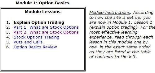 Basic stock option trading