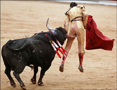 picture of bull market